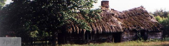 Domek Kononowicza
